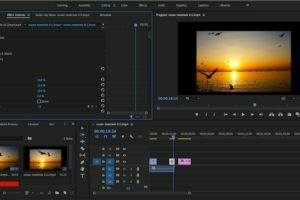 How to crop a video in premiere pro